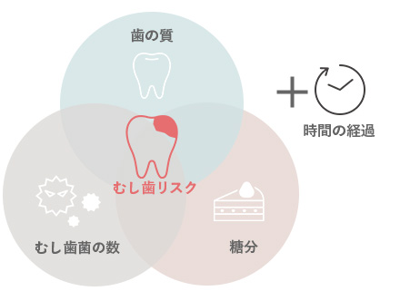 むし歯が発生する原因と予防